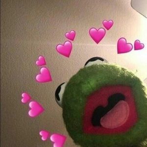 Meet your Posher, Rylee